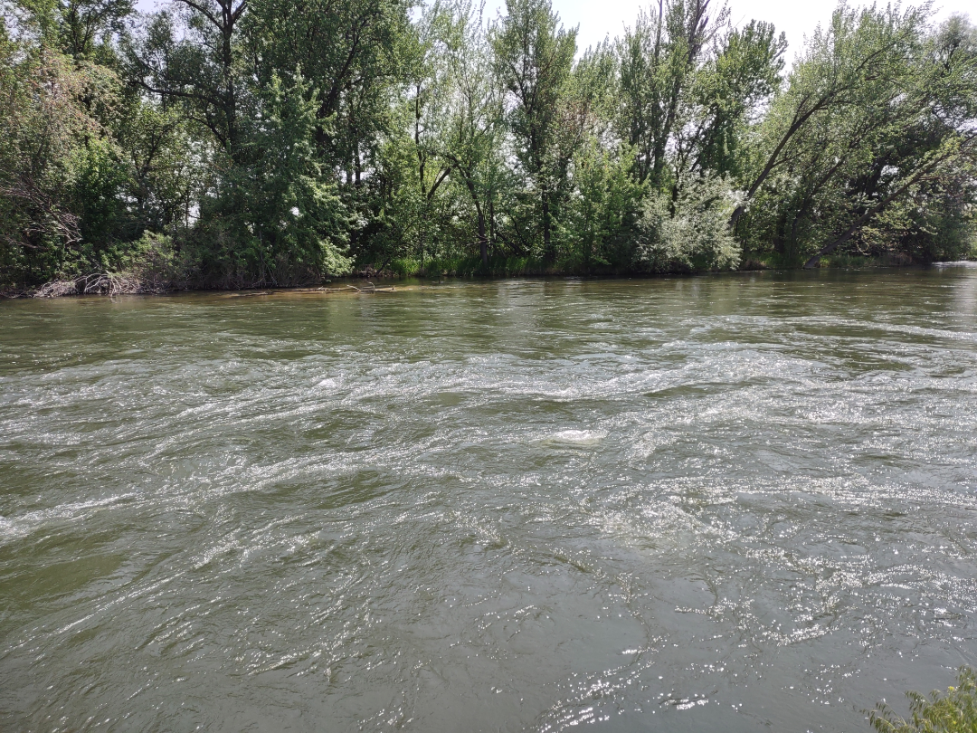 River-See how fast it flows