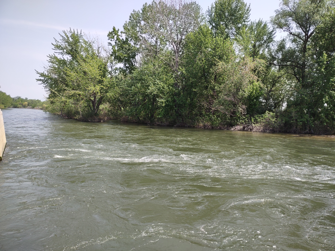 The Boise River