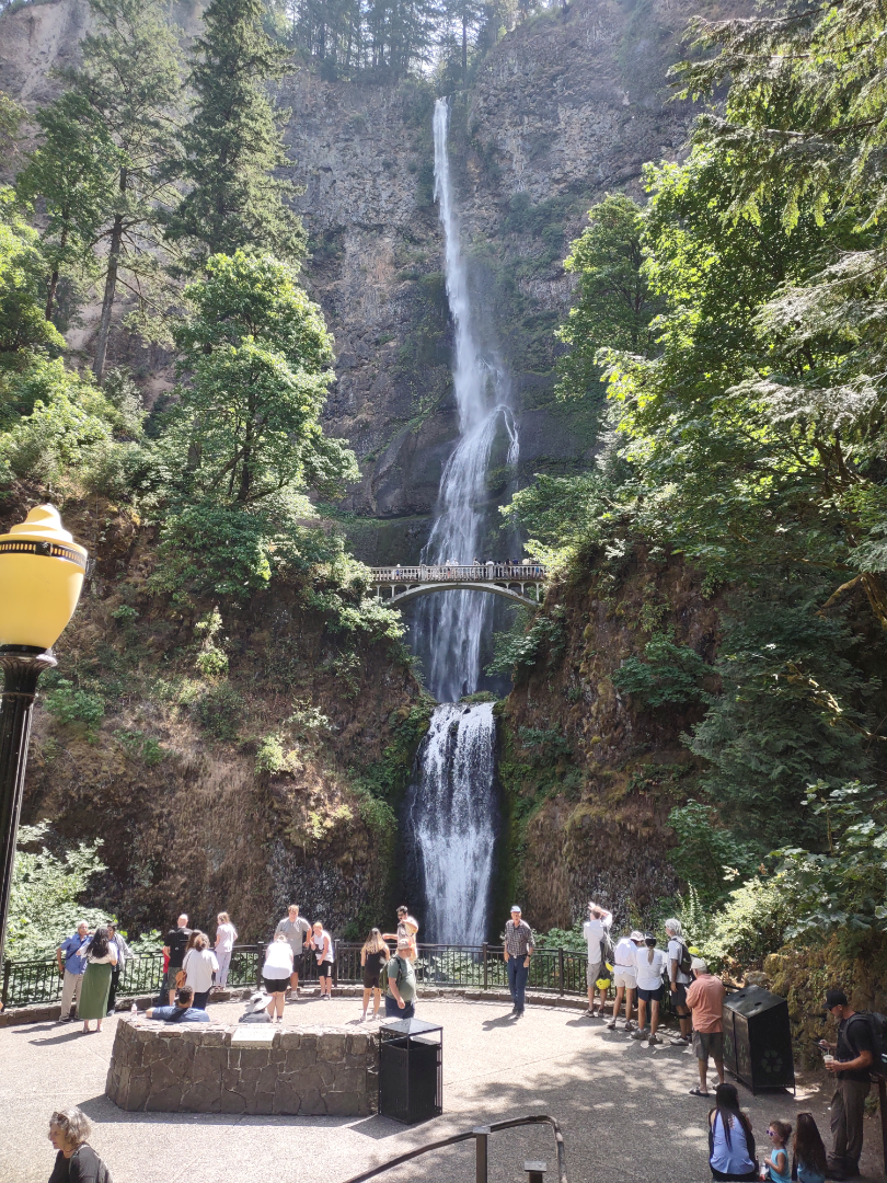 The full view with bridge