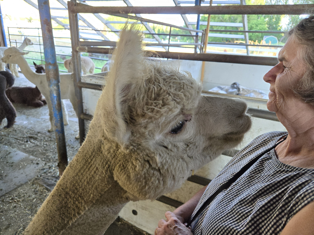 Jacky does not want a kiss